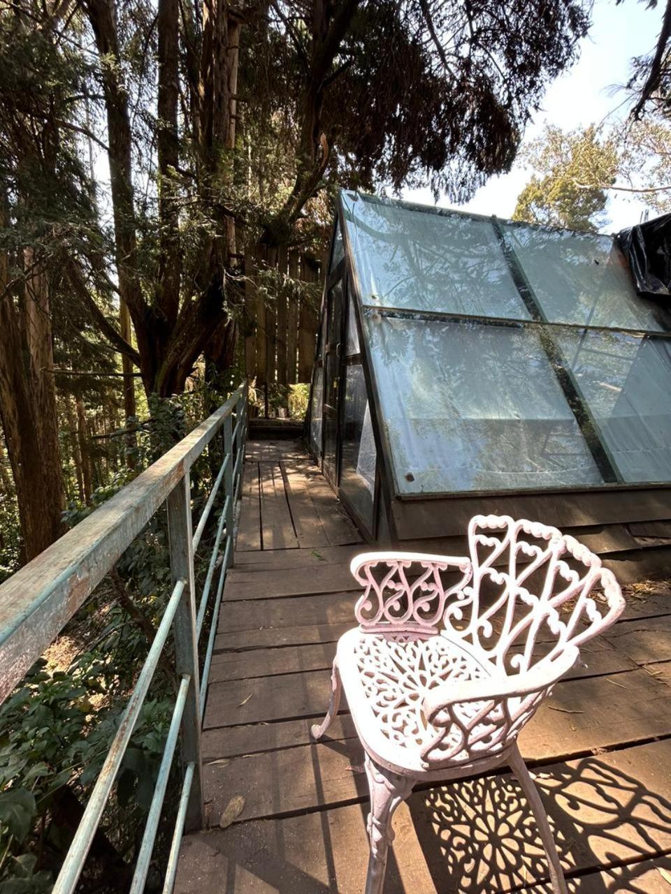 Woodhouse Hotell Ooty Exteriör bild