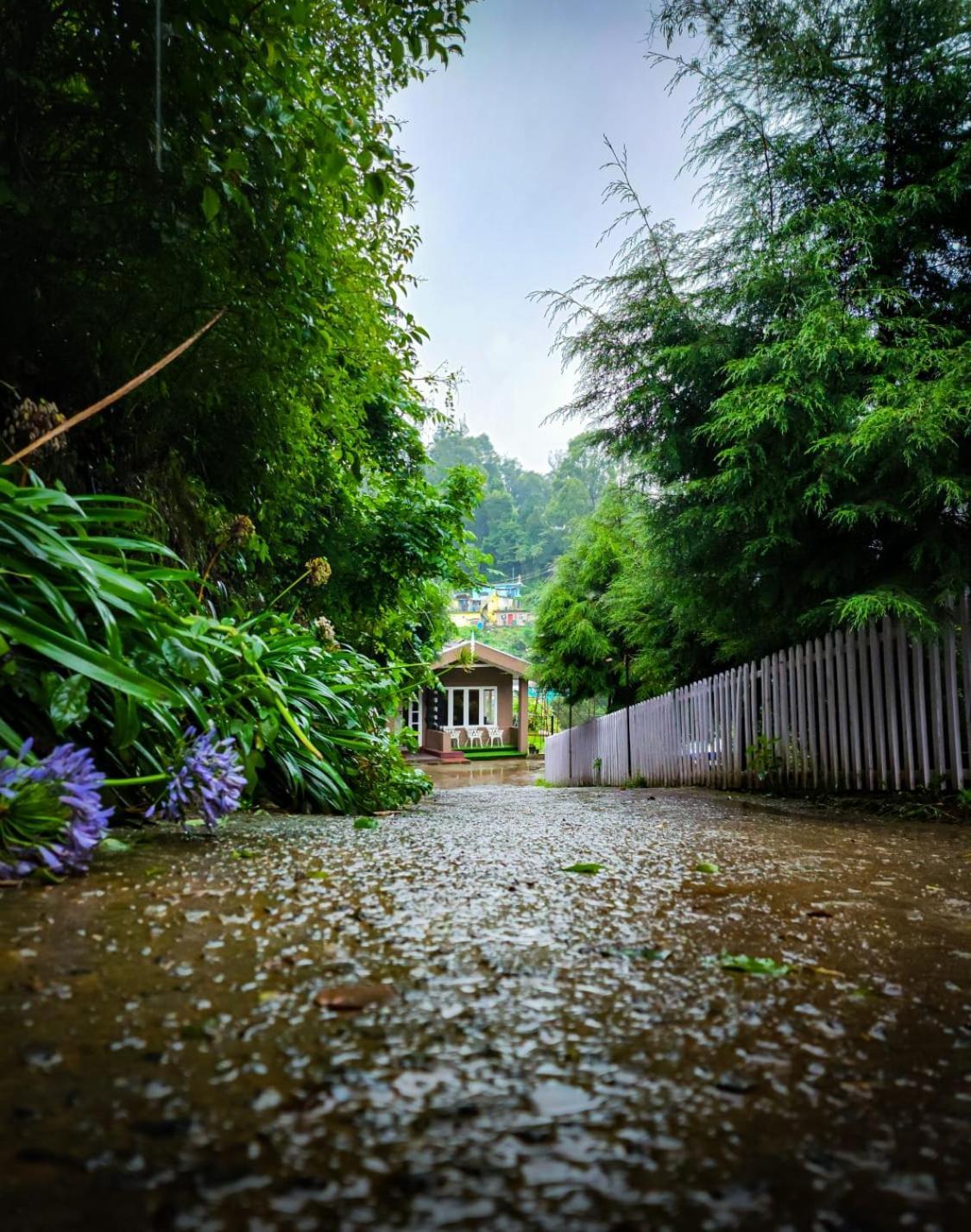 Woodhouse Hotell Ooty Exteriör bild