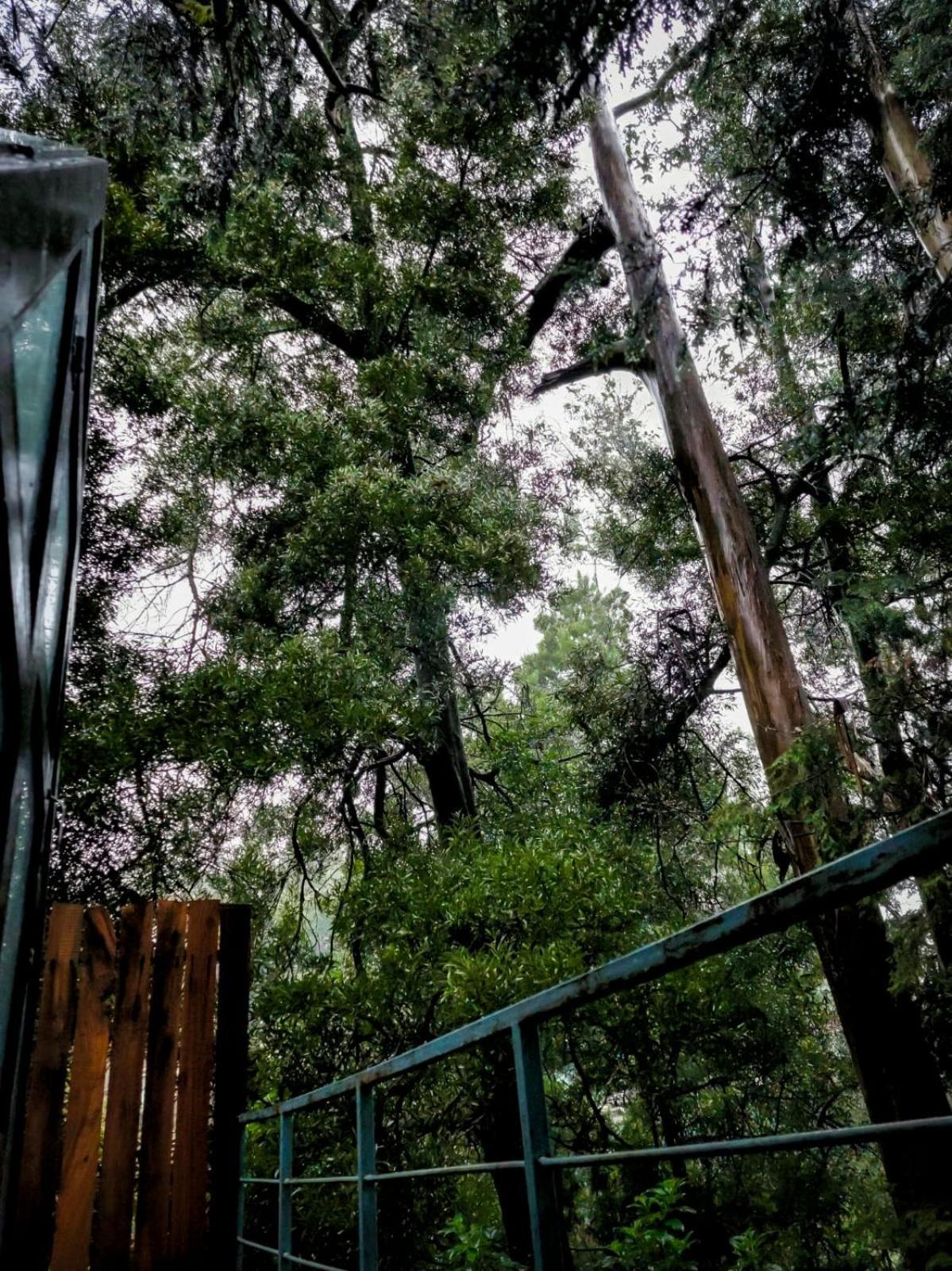 Woodhouse Hotell Ooty Exteriör bild